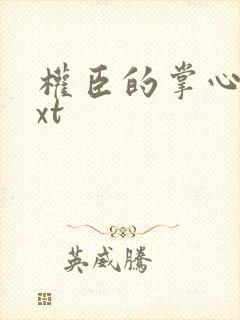 权臣的掌心宠txt