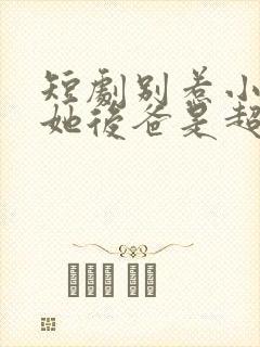 短剧别惹小小姐她后爸是超级女儿奴