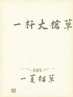 一杆大枪草全家