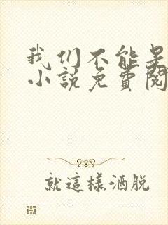 我们不能是朋友小说免费阅读