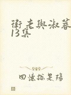 卫老与淑蓉1一13集