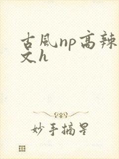 古风np高辣爽文h