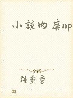 小说肉糜np
