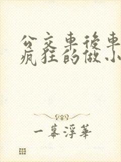 公交车后车座的疯狂的做小