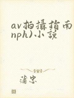 av拍摄指南(nph)小说封面