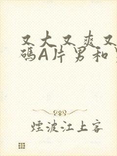 又大又爽又黄无码A片男和男封面
