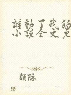 谁动了我的老婆小说全文免费阅读