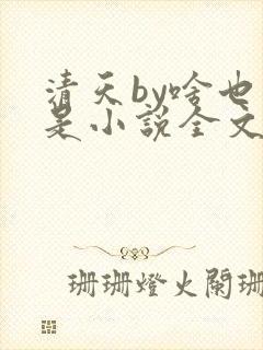 清天by啥也不是小说全文免费阅读