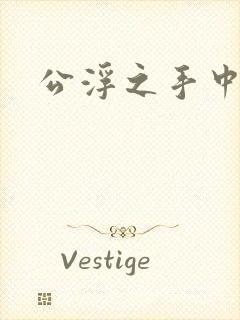 公浮之手中字5