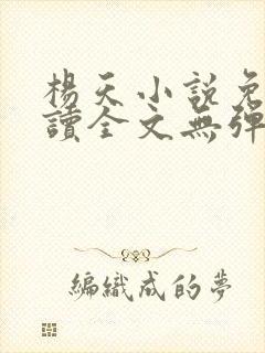 杨天小说免费阅读全文无弹窗