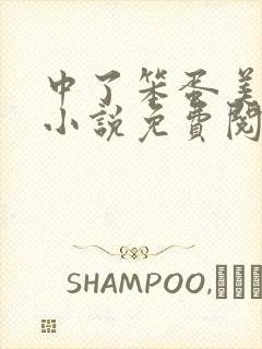 中了笨蛋美人计小说免费阅读