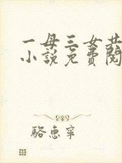 一母三女共一婿小说免费阅读乡村