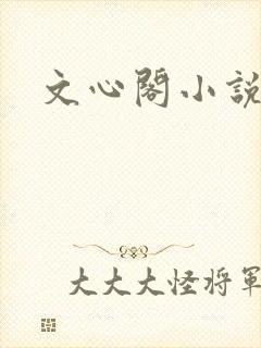文心阁小说