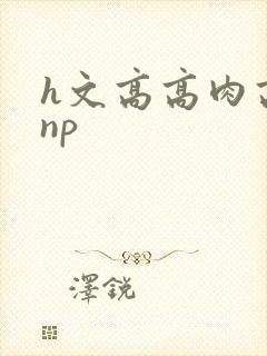 h文高高肉高辣np