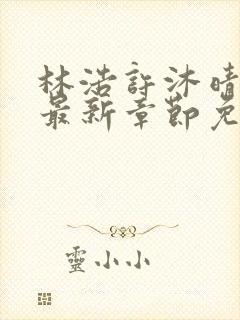 林浩许沐晴小说最新章节免费阅读全文