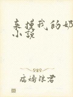 来摸我的奶子的小说