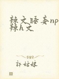 辣文睡妾np高辣h文