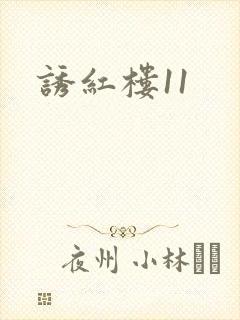 诱红楼11