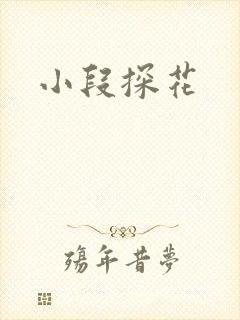 小段探花