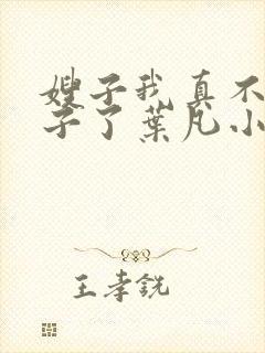 嫂子我真不是傻子了叶凡小说全集目录