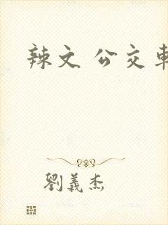 辣文 公交车封面