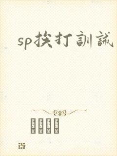 sp挨打训诫文封面