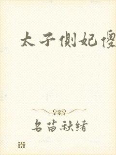 太子侧妃傻乎乎