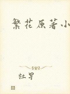 繁花原著小说