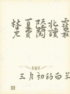 林夏陆北霆全文免费阅读最新章节封面