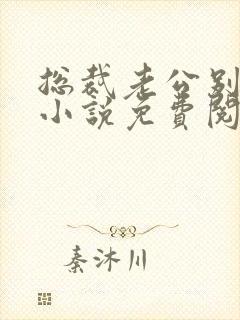 总裁老公别太坏小说免费阅读