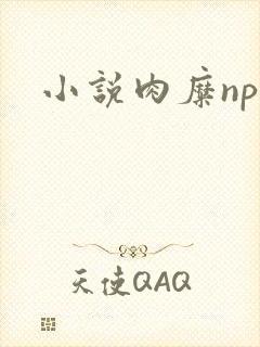 小说肉糜np