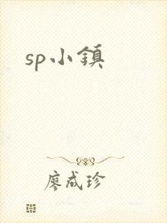 sp小镇封面