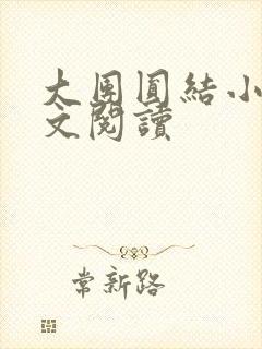 大团圆结小茹全文阅读封面