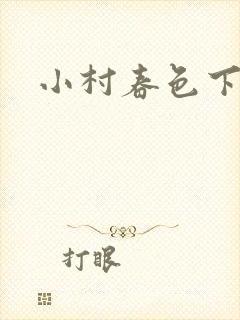 小村春色下载