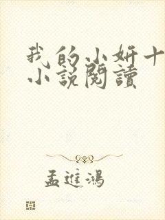 我的小妍十四岁小说阅读