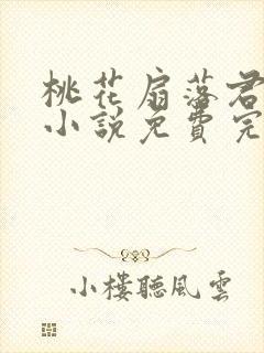 桃花扇落君不还小说免费完整版