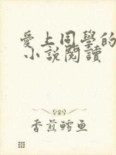 爱上同学的妈妈 小说阅读封面