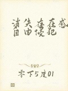 消失存在感消失自由侵犯封面