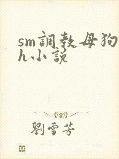sm调教母狗高h小说
