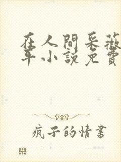 在人间采薇陆三平小说免费阅读封面