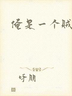 俺是一个贼