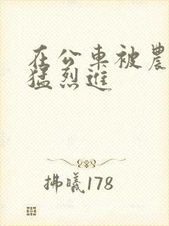 在公车被农民工猛烈进