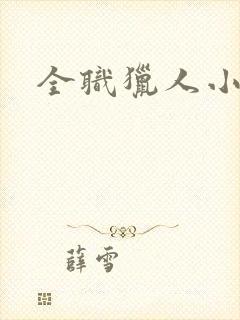 全职猎人小说