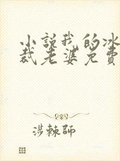小说我的冰山总裁老婆免费阅读