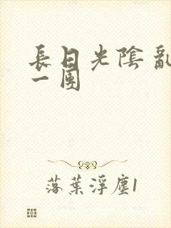 长日光阴 乱作一团封面