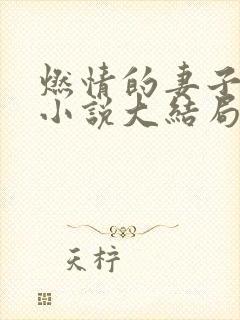 燃情的妻子方雪小说大结局