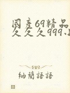 国产69精品久久久久999小说封面