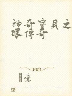 神奇宝贝之写轮眼传奇封面