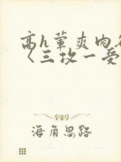 高h荤爽肉欲文〈三攻一受