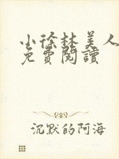 小徐林美人小说免费阅读